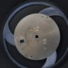 Rolex Dial "Wimbledon" for OP Datejust II 116333
