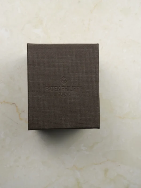 DSC03153_ergebnis_1100x Patek Philippe NOS Watch Travel Box / Service Box / Leather with outer box