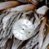 Rolex Zifferblatt silber für Datejust 36mm 16234 | 16200 Luminova