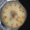 Patek Philippe white Sigma Dial for Calatrava 2526J in like-new condition with spider effect.