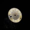 Rolex NOS Dial ,,Grey Roman'' for OP Datejust 16000 | 16200 | 16014 | 16234