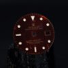 Rolex Extrem Tropical Dial for GMT-Master ,,Tiger Eye'' 16758 | 16753 Luminova Marked<T25